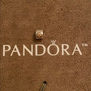 PANDORA Sterling Silver Clip Charm